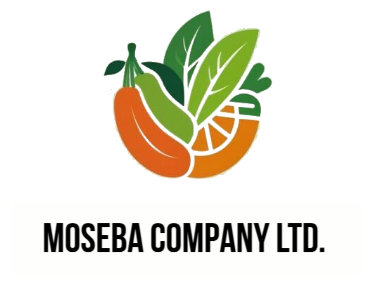 Moseba Limited