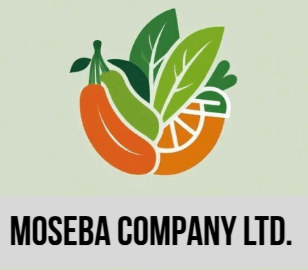 Moseba Limited